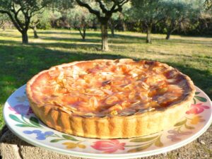 Apricot Almond Custard Tart Recipe
