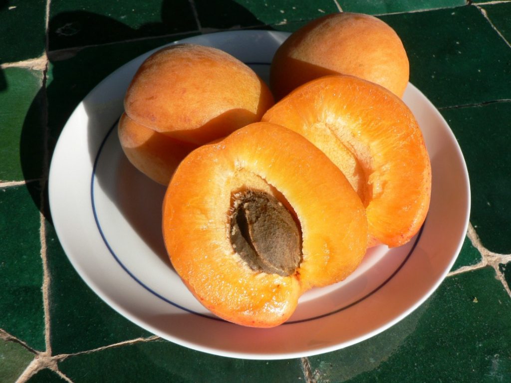 Apricot Mousse