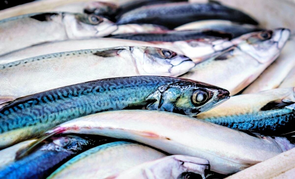 Omega-3: Fool’s Gold