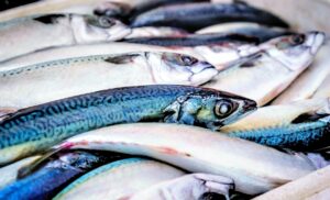 Omega-3: Fool’s Gold