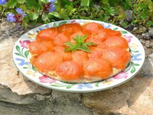 Apricot Tart Recipe