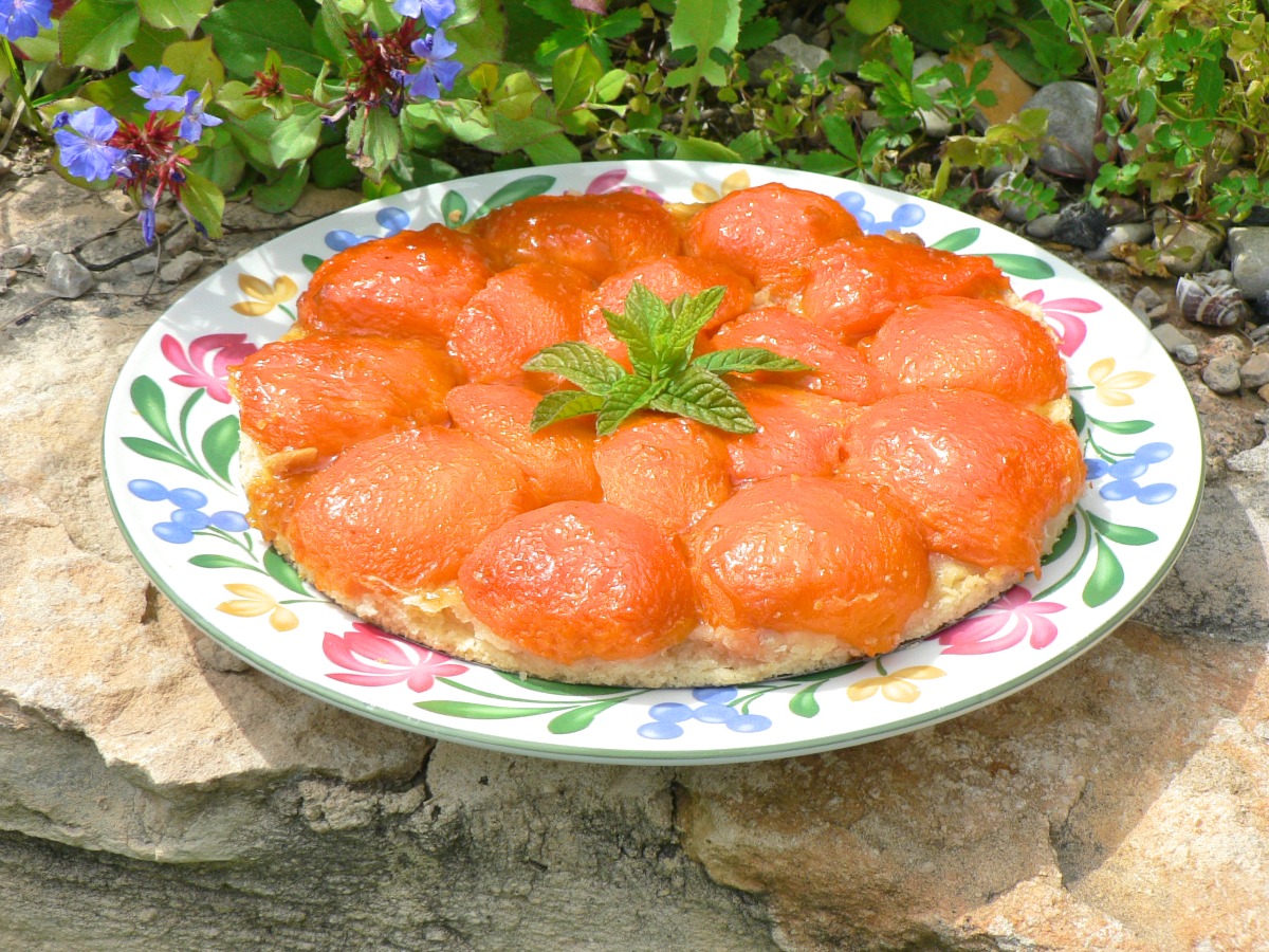 Apricot Tart