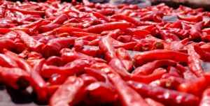 Chile Peppers